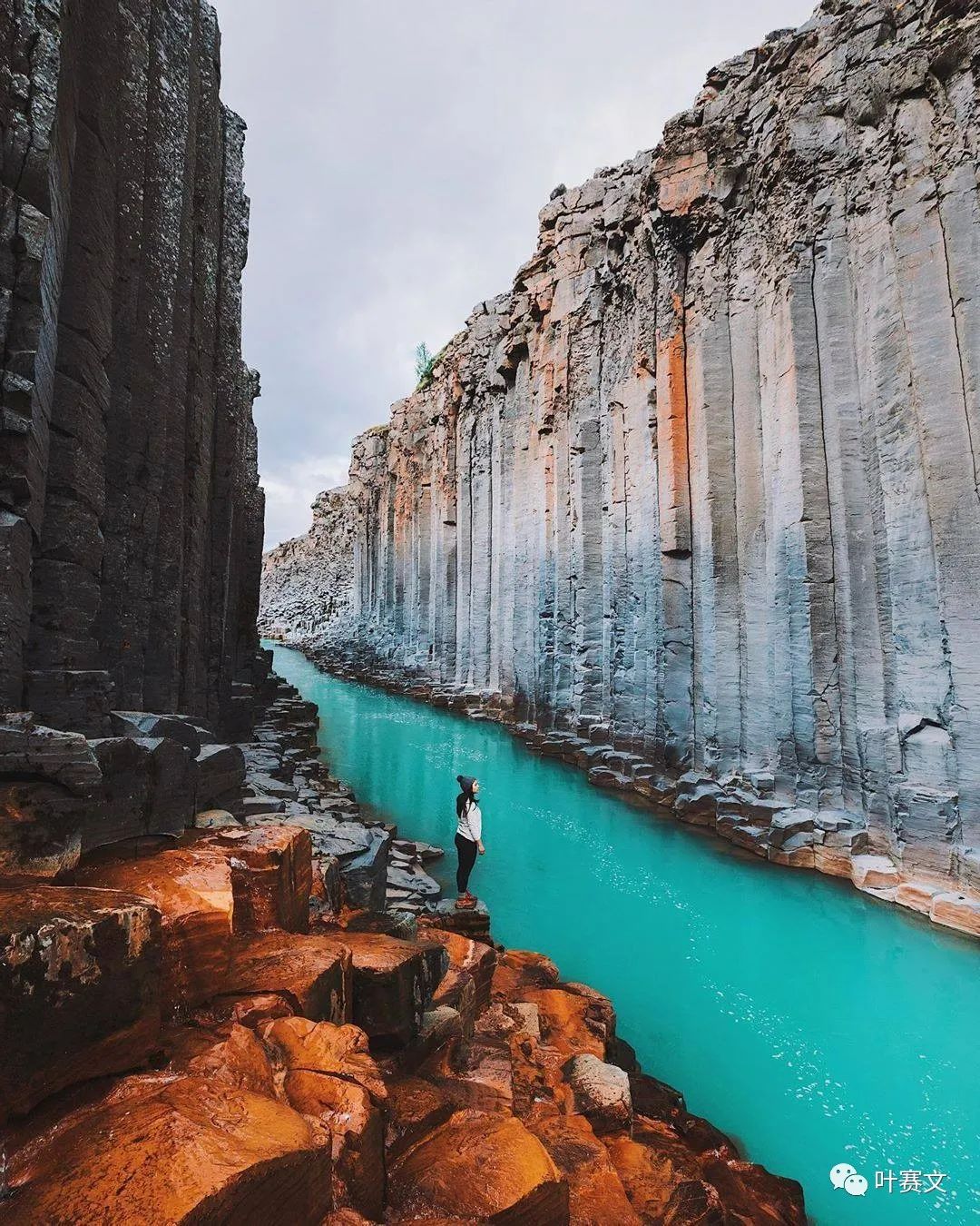 AI 辅助决策工具 AI 辅助决策工具